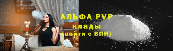 прущие грибы Балабаново