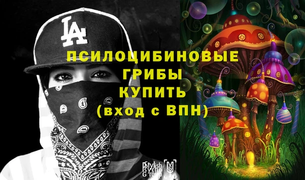 прущие грибы Балабаново