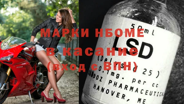 прущие грибы Балабаново