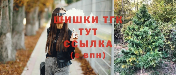 прущие грибы Балабаново