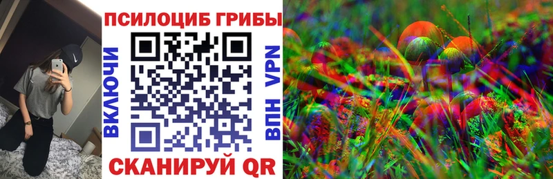Псилоцибиновые грибы Psilocybe Волжск